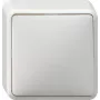 GIRA 010613 elektrische schakelaar wit (010613)