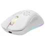 Gaming-muis Deltaco GAM-120-W RF draadloos USB Type-C