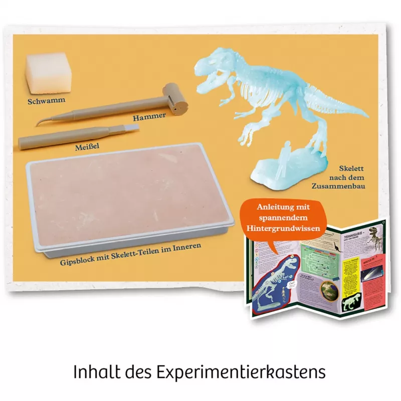 Kosmos T-REX, augmented reality, 7 jaar, groen Kosmos T-REX. Type: augmented reality, aanbevolen leeftijd (min.): 7 jaar, productkleur: groen