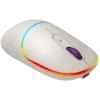 CANYON muis MW-22 2-in-1 BT/draadloos rijst