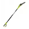 Elektrische hoogtakkensnoeier 750W 25cm/olieaccessoires RYOBI