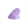 NATEC Crake 2 muis universeel rechtshandigen RF Wireless + Bluetooth optisch 2400 DPI