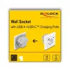 DeLOCK 11499 stopcontact type F met USB-A en USB-C wit