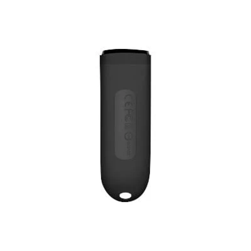 Transcend JetFlash 790 256GB zwart