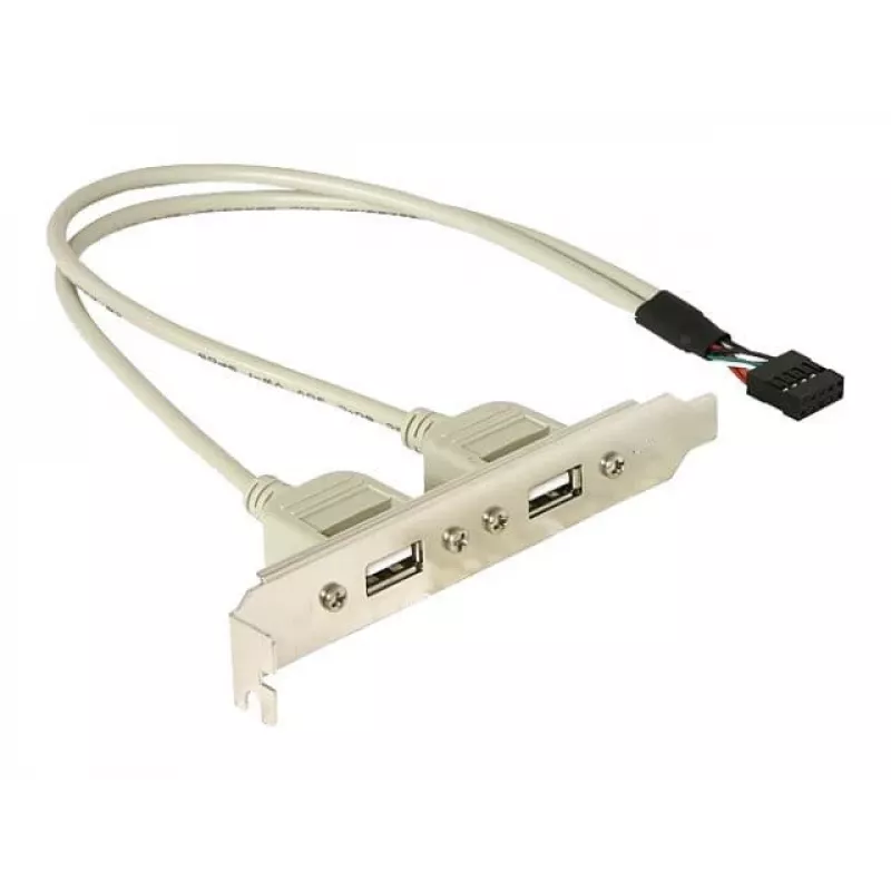 Slotbracket 1x interne USB 5-pin naar 2x externe USB 2.0 DeLOCK 71000
