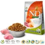 Droogvoer voor honden Farmina N&D Pumpkin BOAR & APPLE voor volwassen honden van middelgrote en grote rassen, 12 kg, graanvrij, 30 % eiwit
