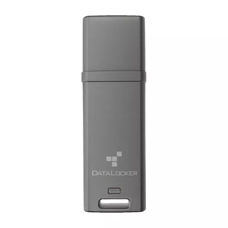 DataLocker DL GO DLGO-004 USB-stick 4 GB, 256-bit AES XTS, FIPS 197, MFA, assorti
