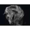 Puzzel Schmidt Spiele Ashley Rader Power Horse — 1000 stukjes, MPN 58543