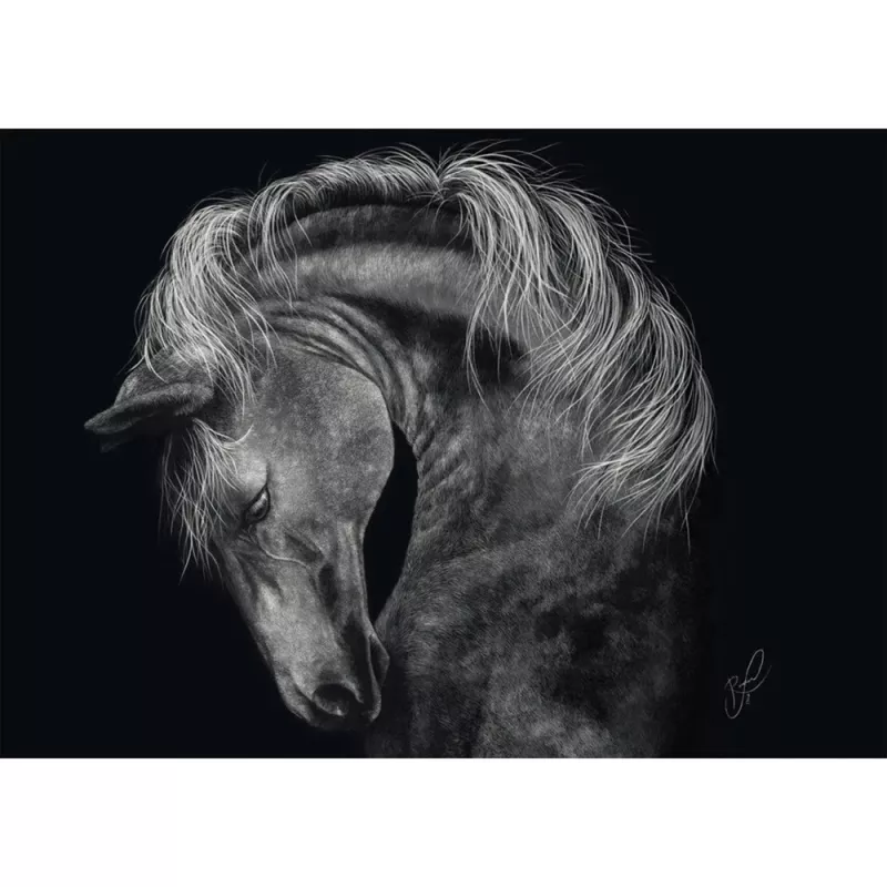 Puzzel Schmidt Spiele Ashley Rader Power Horse — 1000 stukjes, MPN 58543