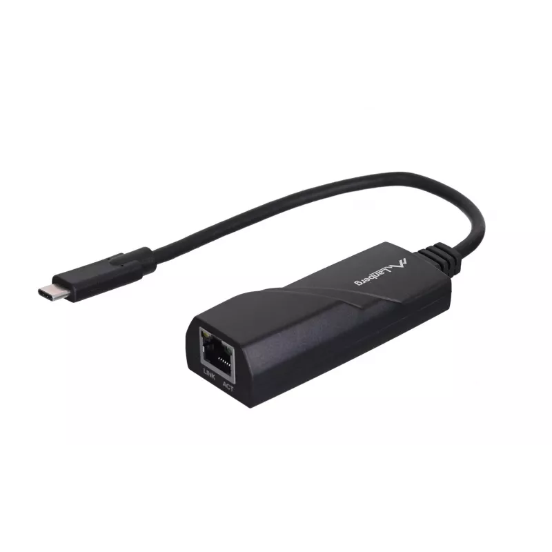 Lanberg NC-1000-02 interfacekaarten/adapters RJ-45