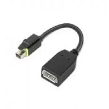 Lenovo 4X90Q93975 videokabel-adapter Mini DisplayPort DisplayPort zwart