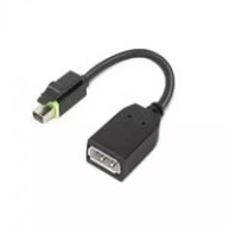 Lenovo 4X90Q93975 videokabel-adapter Mini DisplayPort DisplayPort zwart
