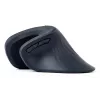 Gembird MUSW-ERGO-03 muis thuis rechtshandig RF draadloos optisch 1600 DPI