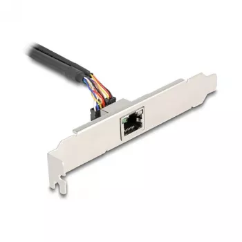 DeLOCK 95268 Interne RJ-45-adapter Mini PCI Express 2,5 Gbit/s