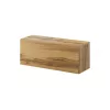 Cama kast VIGO 90 gesloten 90/35/32 Wotan-eiken