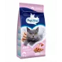 PREVITAL Senior zalm droogvoer voor katten, 1,4 kg