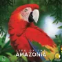 Life of the Amazonia, bordspel