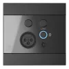 AUDAC WP225/B Wandpaneel, XLR-microfoon + 3,5-mm jackbus, Bluetooth, zwart