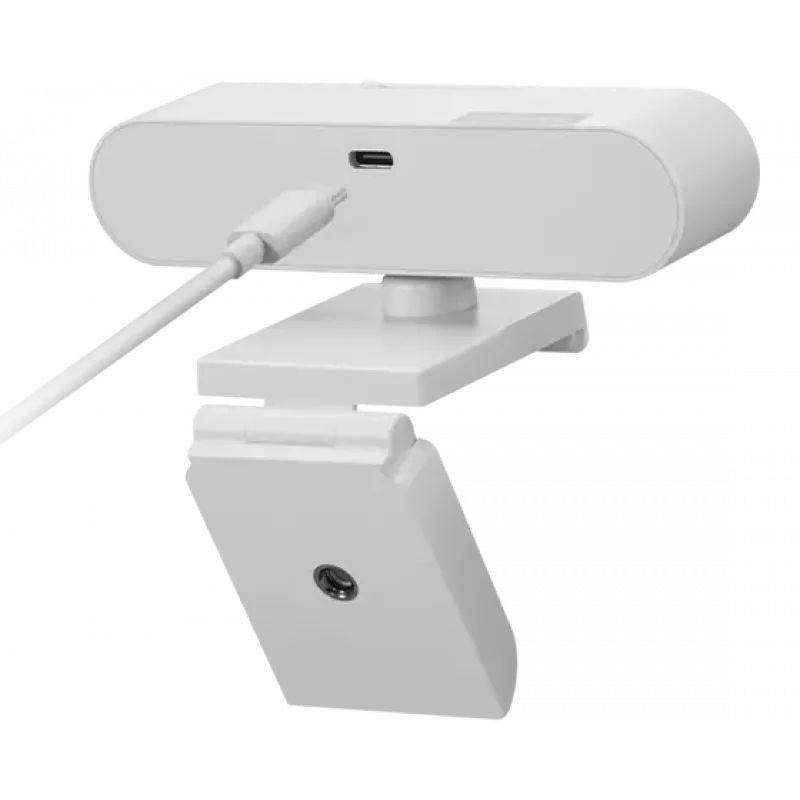 Lenovo GXC1D66063 webcam 2,8 MP 1920 x 1080 pixel USB-C grijs
