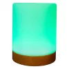Sfeerverlichting RealPower 200 RGB met afstandsbediening