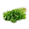 Waterkers Toraf groentezaden, 0,2g verpakking