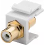 Goobay 79676 - plat - wit - RCA - RCA - bus - bus (79676)