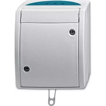 BUSCH JAEGER 2CKA001383A0141 - trekschakelaar - zilver - IP44 - RoHS CE - 250 V - 74 mm
