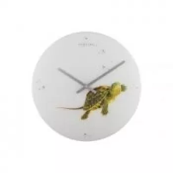 NeXtime klok 8137 Turtle, Ø43 cm, wand, wit/groen