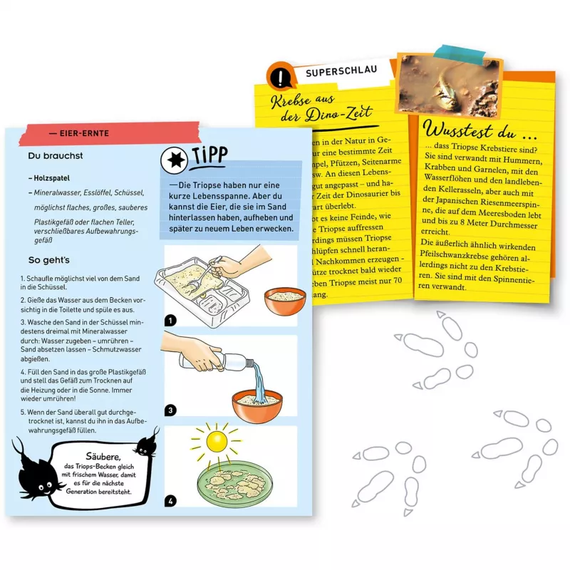 Kosmos Fun Science 637231 experimenteerset voor kinderen