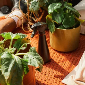Plantenverzorgingsspray 1071306