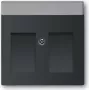 Busch Jaeger centraalplaat 1800-885 (1710-0-3910)