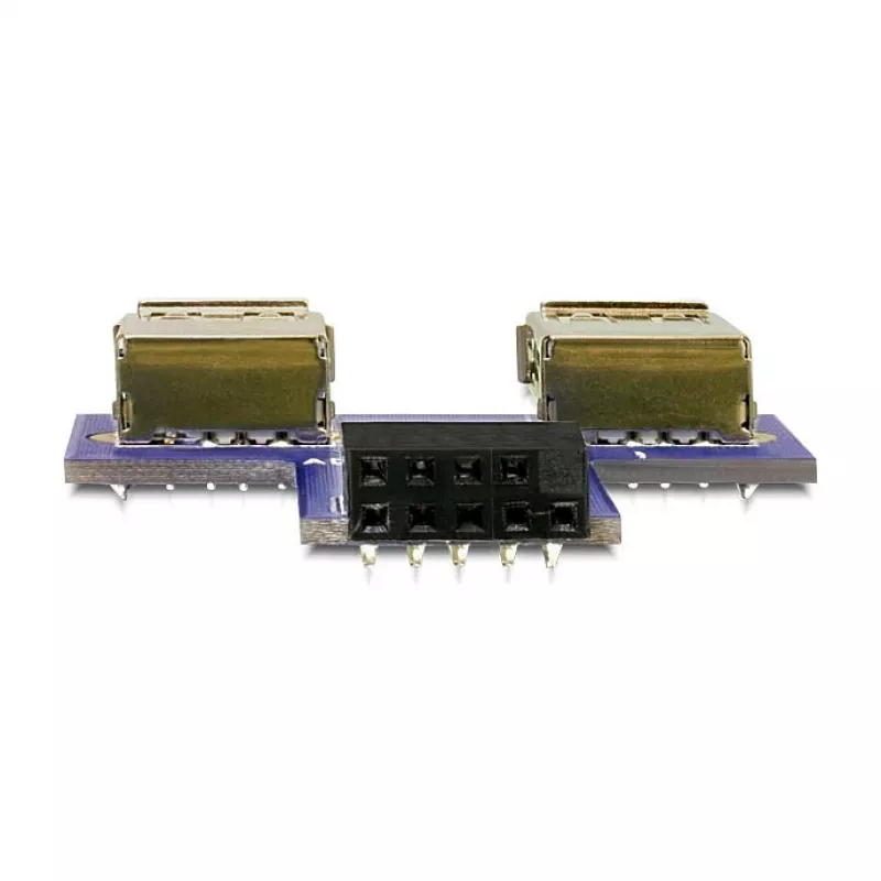 DeLOCK 9-pins 2,54 mm 2 x USB 2.0 1 x 9-pins 2,54 mm zwart blauw zilver