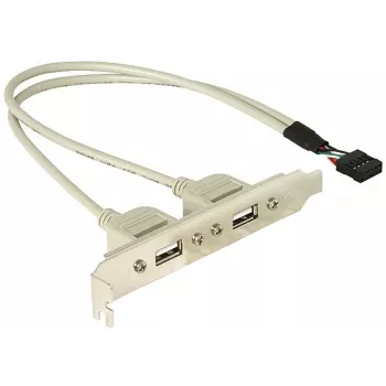 Slotbracket 1x interne USB 5-pin naar 2x externe USB 2.0 DeLOCK 71000