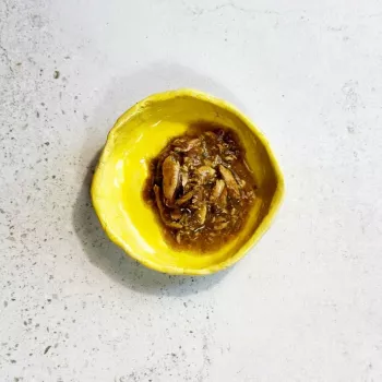 Ollo tonijn met zeewier in bouillon nr. 8 70 g