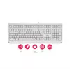 CHERRY KC 1000 toetsenbord home USB Zwitserse layout grijs