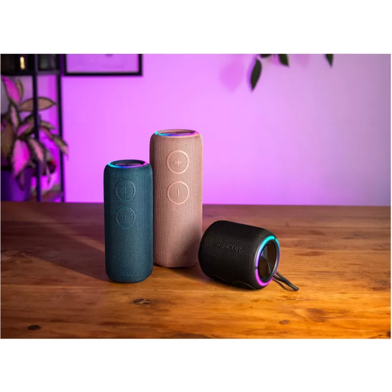 Bluetooth-luidspreker SIRIUS 2 Zwart Vermogen 20W