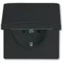 Busch-jaeger 2CKA002064A0290 zwart
