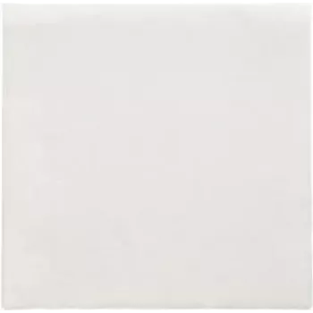 PAPSTAR servetten Daily Collection wit 2-laags 16,0 x 16,0 cm 150 stuks (89636)