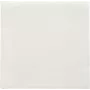 PAPSTAR servetten Daily Collection wit 2-laags 16,0 x 16,0 cm 150 stuks (89636)