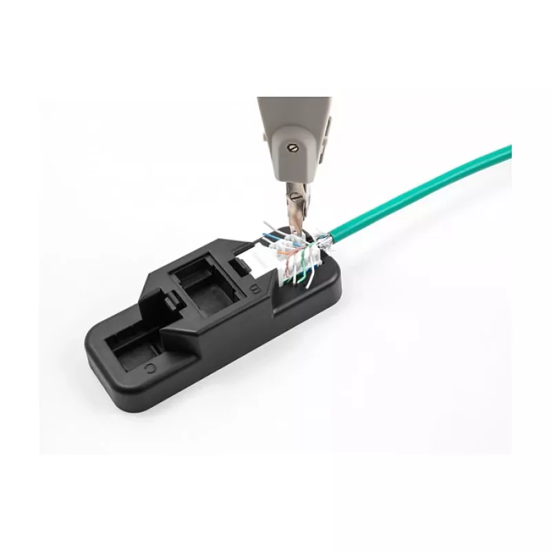 DeLOCK Keystone LSA set RJ45 RJ11 Cat.6 zwart cliphouder