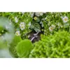 Slanghouder Gardena 13218-20 zwart bodemplaatsing