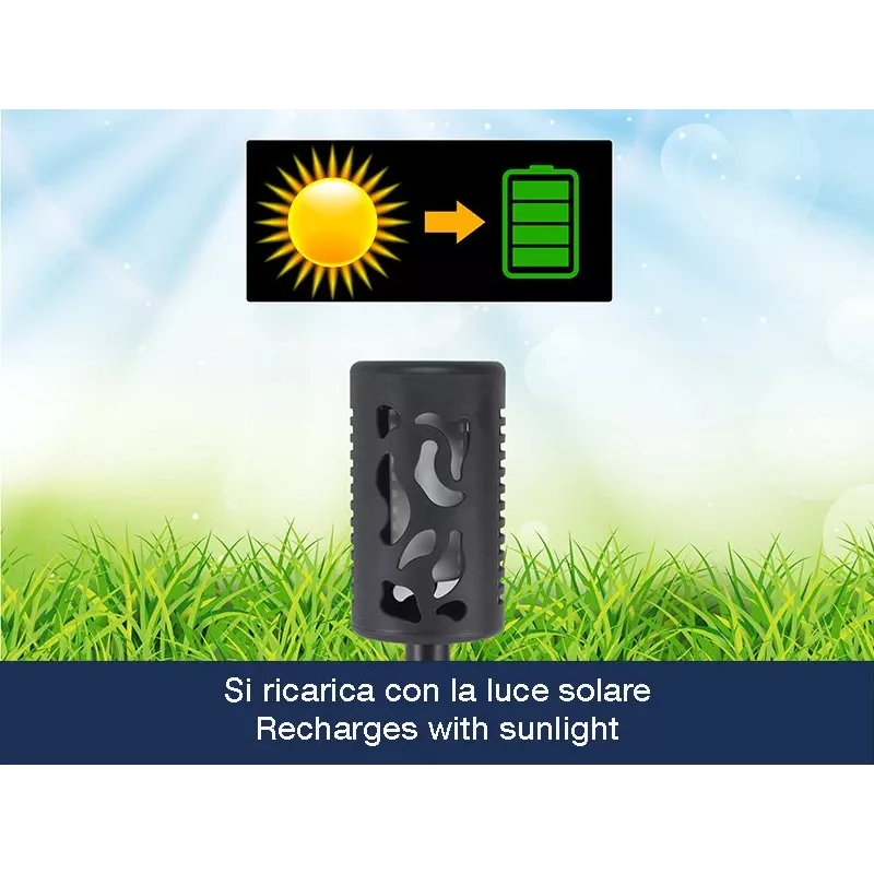 Beper P207ILO101 zonne-energie tuinlamp met grondpen, 12 led vlameffect, IP44, zwart