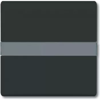 BUSCH JAEGER 2106 N-35 - zwart - Busch-Jaeger - 70 mm - 70 mm - 1,3 cm - 1 stuk(s)