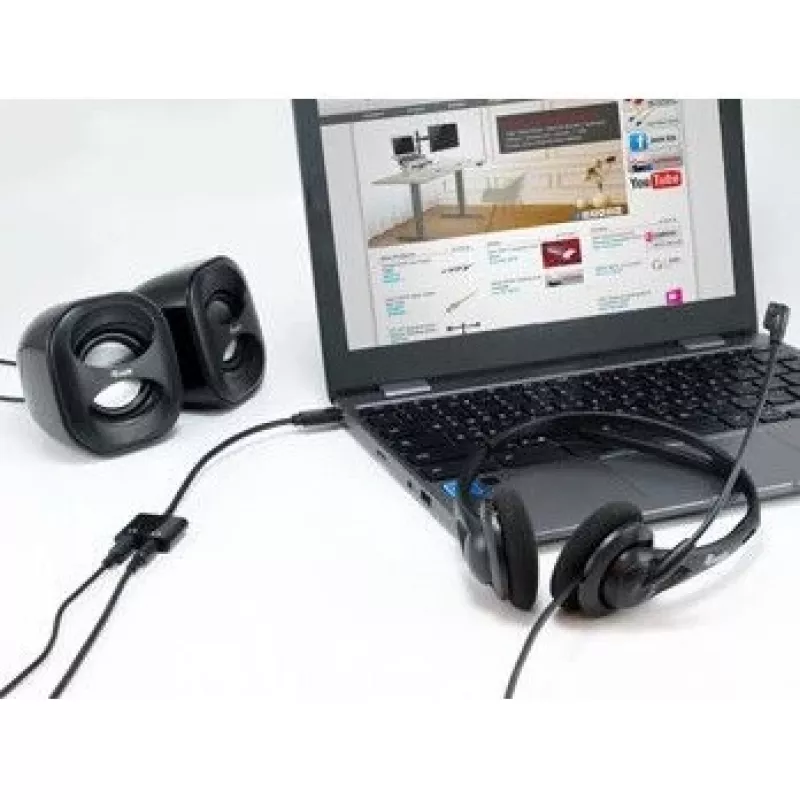 Equip USB-C naar dual 3,5 mm audio-DAC-adapter, USB C, stekker, 2 x 3,5 mm, bus, 0,15 m, zwart