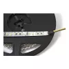 Synergy 21 LED Flex Strip 3528 - 120 DW (CCT) DC12V 48W pro kleur IP20