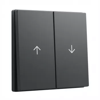 Wipafdekking GIRA System 55 wip 2v pijl antraciet (model 329428)