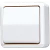 Jung 606 A WW lichtschakelaar wit (606AWW)