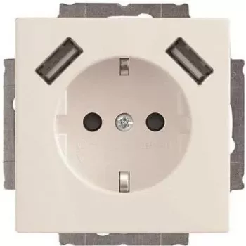 Busch-Jaeger SCHUKO-2x USB stopcontact 20 EUCB2USB-84 (2CKA002011A6273)