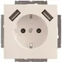 Busch-Jaeger SCHUKO-2x USB stopcontact 20 EUCB2USB-84 (2CKA002011A6273)