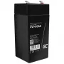 Green Cell AGM37 industriële accu, verzegelde lood-zuur (VRLA), 4000 mAh, 4 V